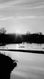 wetlands